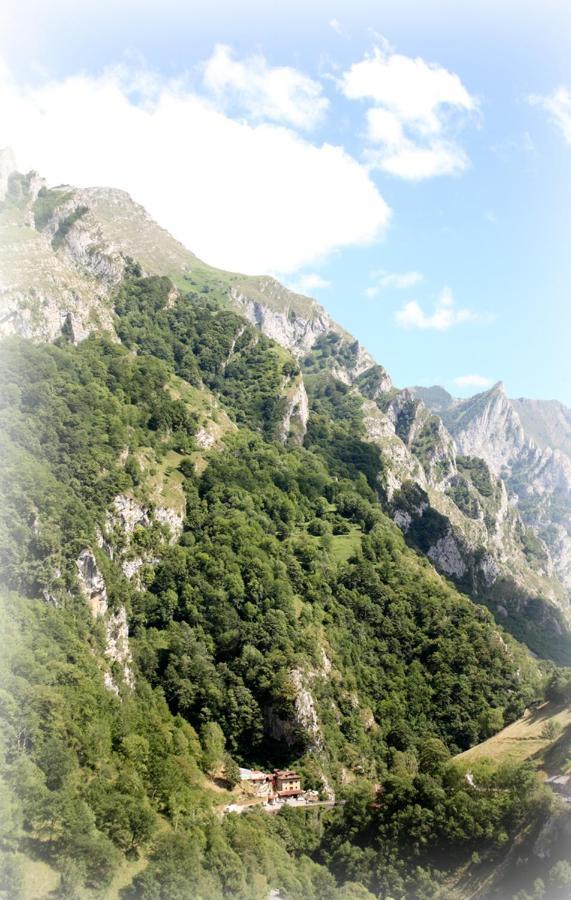 Hotel Puente Vidosa Amieva Εξωτερικό φωτογραφία