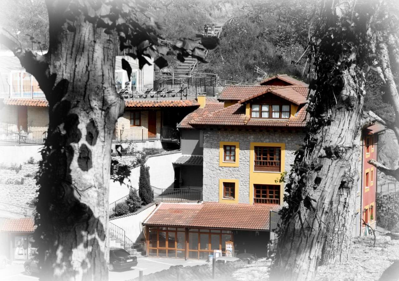 Hotel Puente Vidosa Amieva Εξωτερικό φωτογραφία